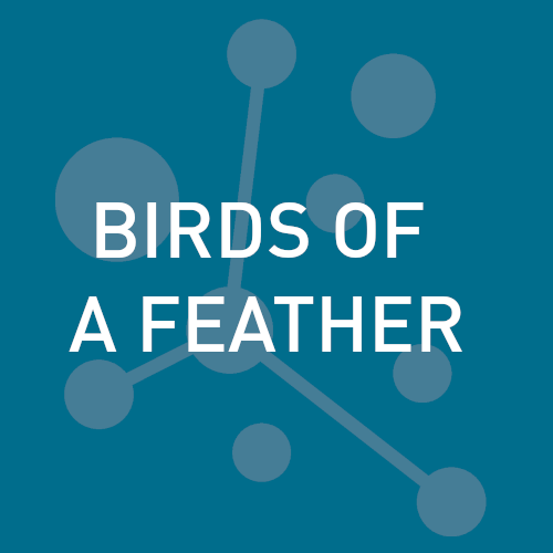 Birds of a Feather